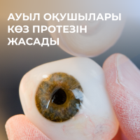 СЕЛЬСКИЕ ШКОЛЬНИКИ СДЕЛАЛИ ГЛАЗНЫЕ ПРОТЕЗЫ